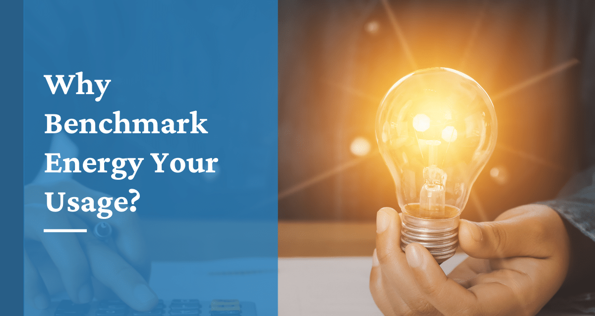 person holding lightbulb emitting yellow light