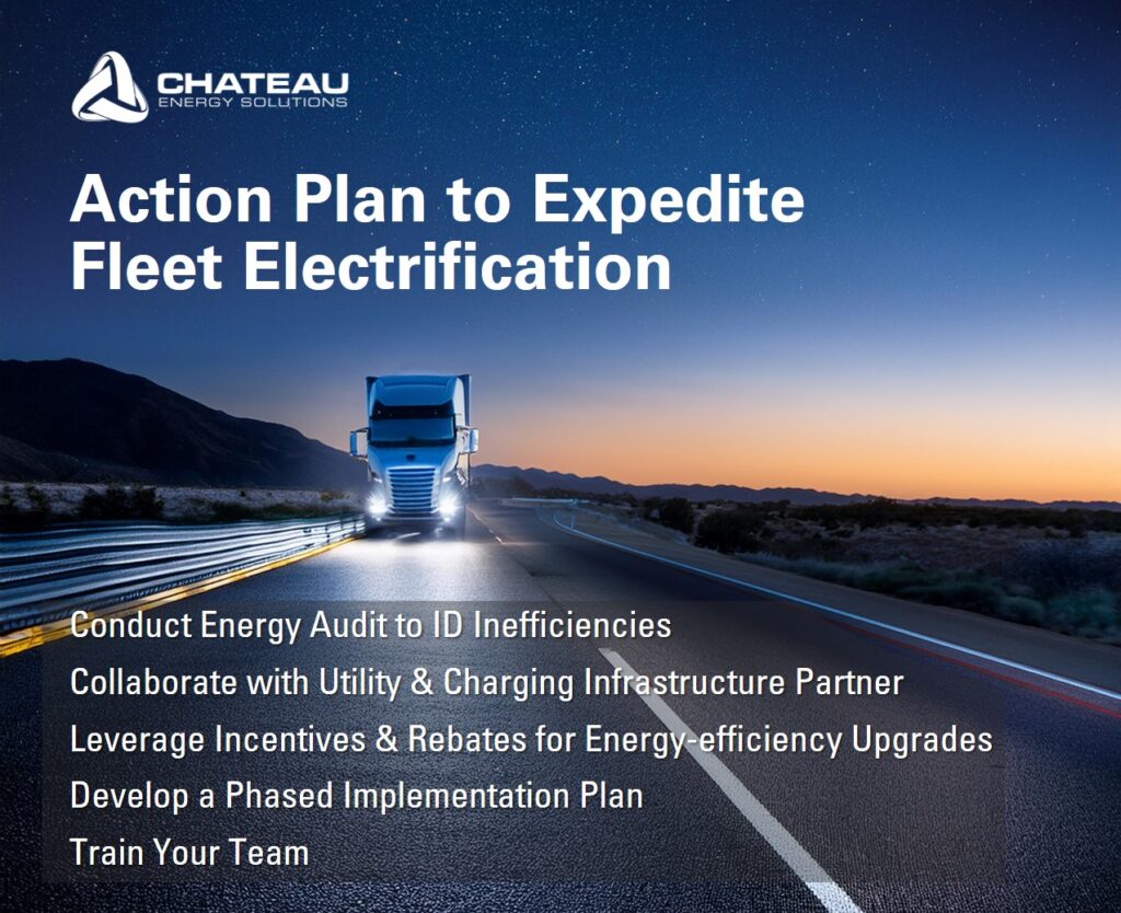 Action Plan to Expedite Fleet Electrification